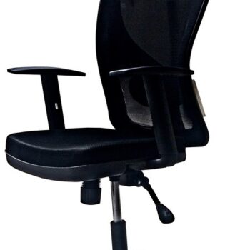 Executive Ergonomic Office Chair – Styalica