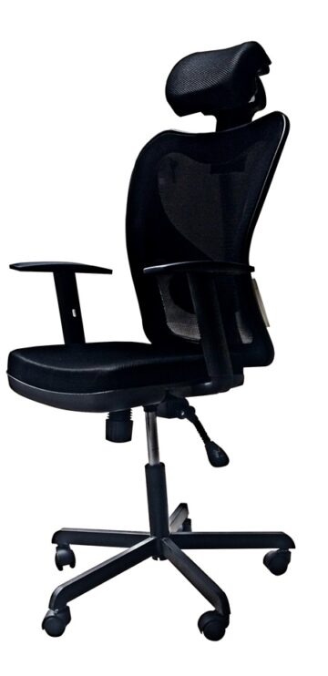 Executive Ergonomic Office Chair – Styalica
