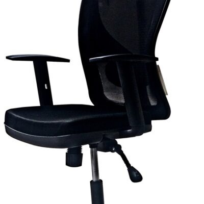 Executive Ergonomic Office Chair – Styalica